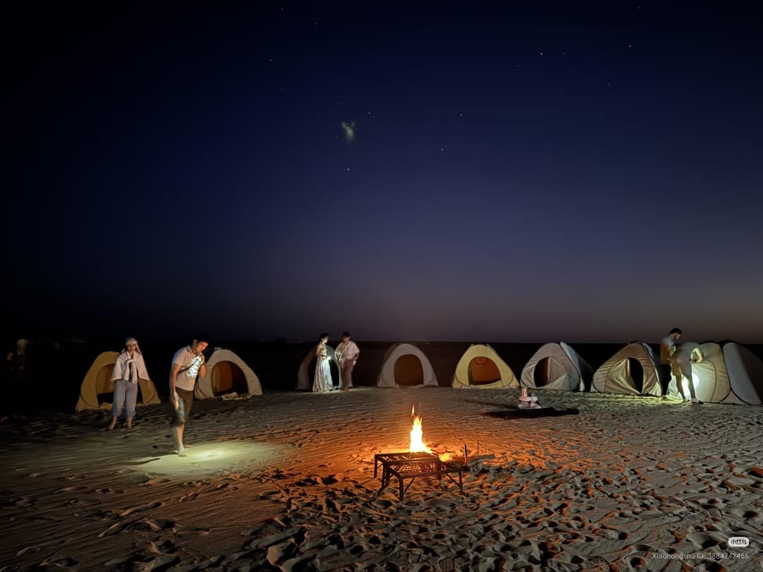 Desert night